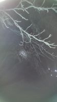IMG-20180204-WA0004